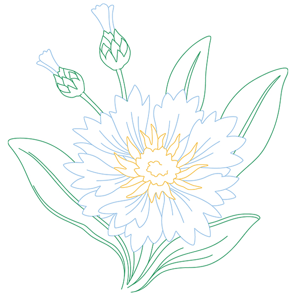 Cornflower Beauty [SVG, DXF]