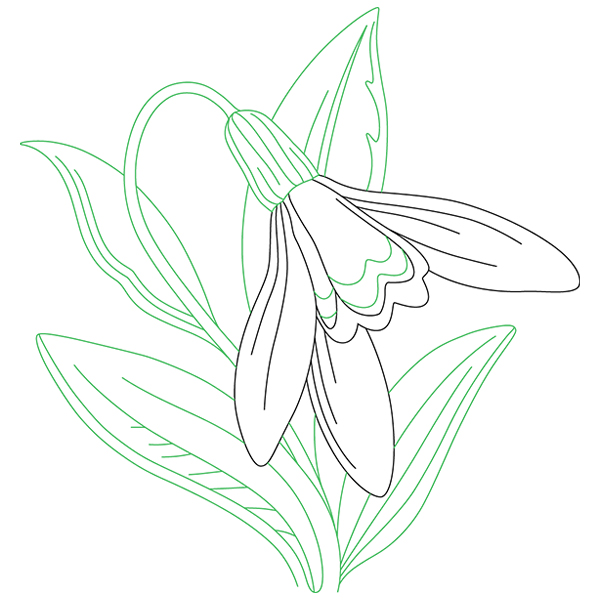 Snowdrop Beauty [SVG, DXF]