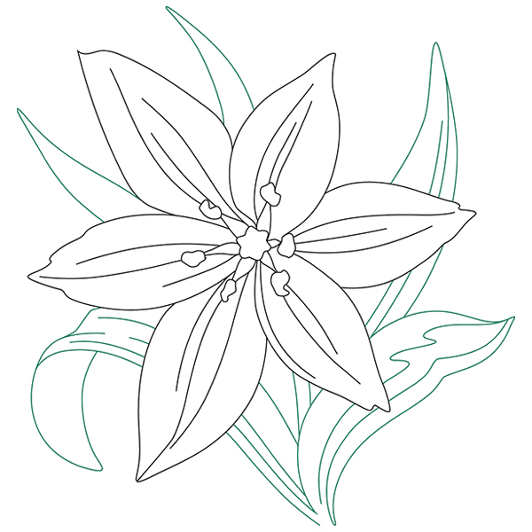 Star of Bethlehem Beauty [SVG, DXF]