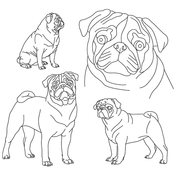 Pug Sketch [SVG, DXF]