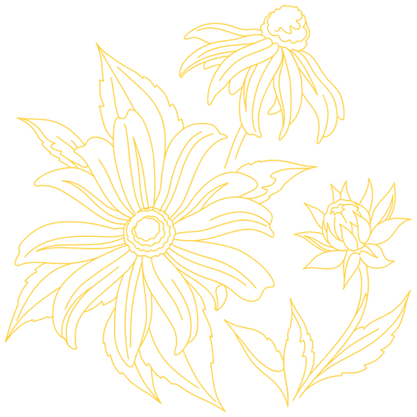 Black-Eyed Susan Botanical [SVG, DXF]