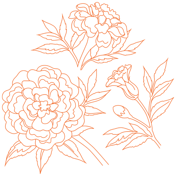 Marigold Botanical [SVG, DXF]