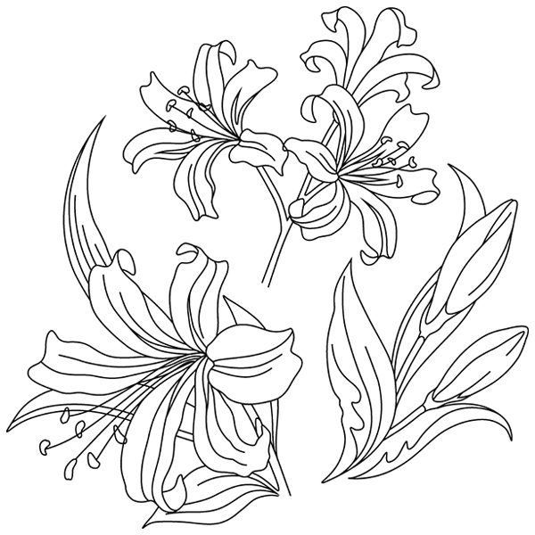 Nerine Botanical [SVG, DXF]