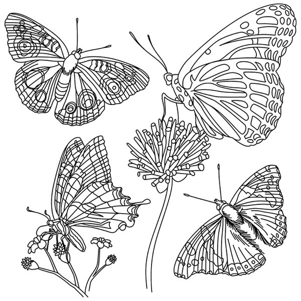 Butterfly Sketch [SVG, DXF]