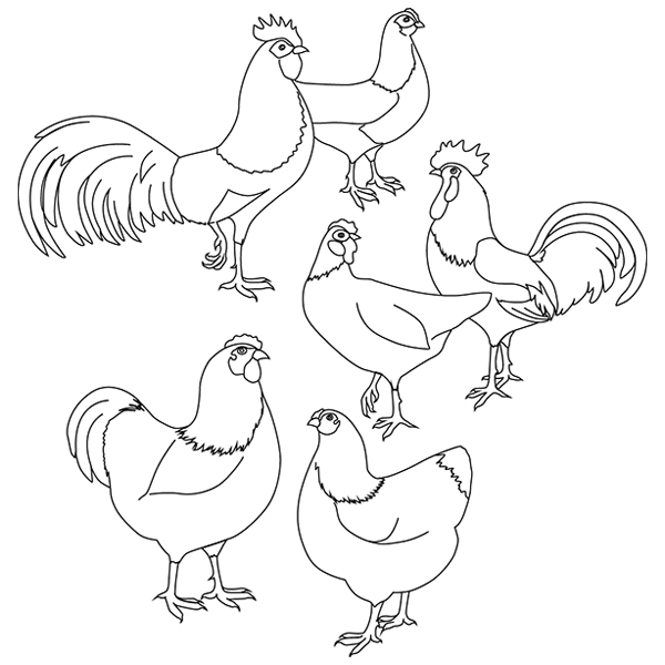 Country Chicken Sketch [SVG, DXF]