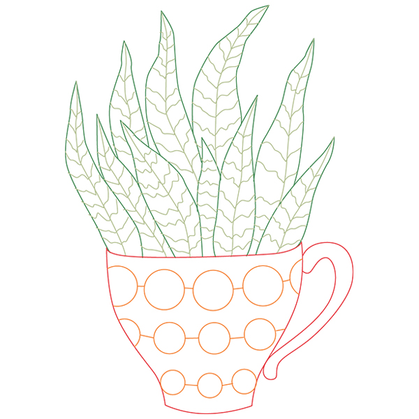 Cup o' Succulent - Zebra Hawthoria [SVG, DXF]