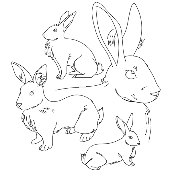 Flemish Giant Rabbit Sketch [SVG, DXF]