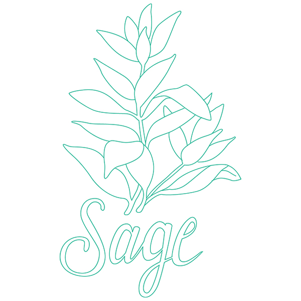Herb Sketch - Sage [SVG, DXF]