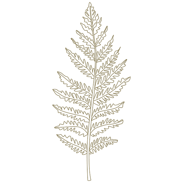Botanical Treasures - Fern [SVG, DXF]