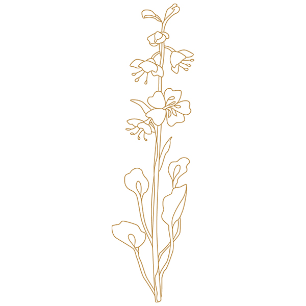 Botanical Treasures - Flower [SVG, DXF]