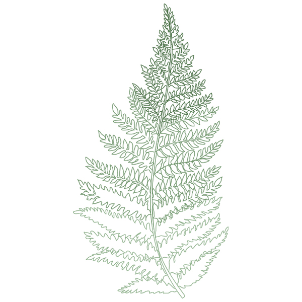 Where the Fern Grows [SVG, DXF]