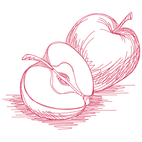 Apple Etching [SVG, DXF]