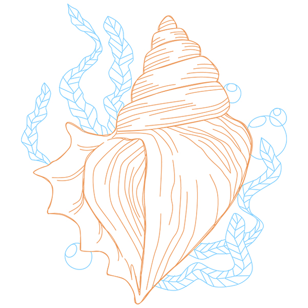 Under the Sea - Seashell [SVG, DXF]