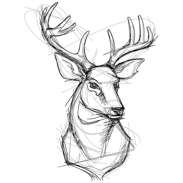 Sketchwork Stag [SVG, DXF]