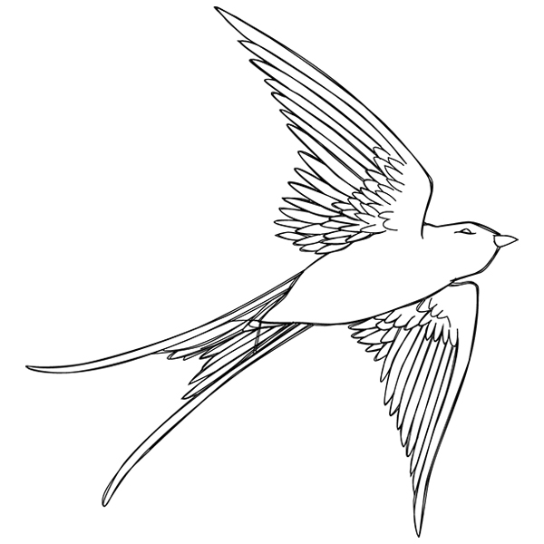 Swallow In Flight [SVG, DXF]