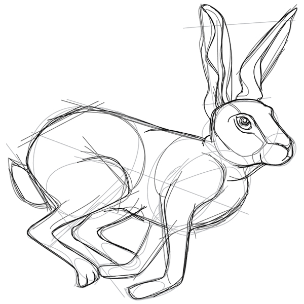 Sketchwork - Hare [SVG, DXF]