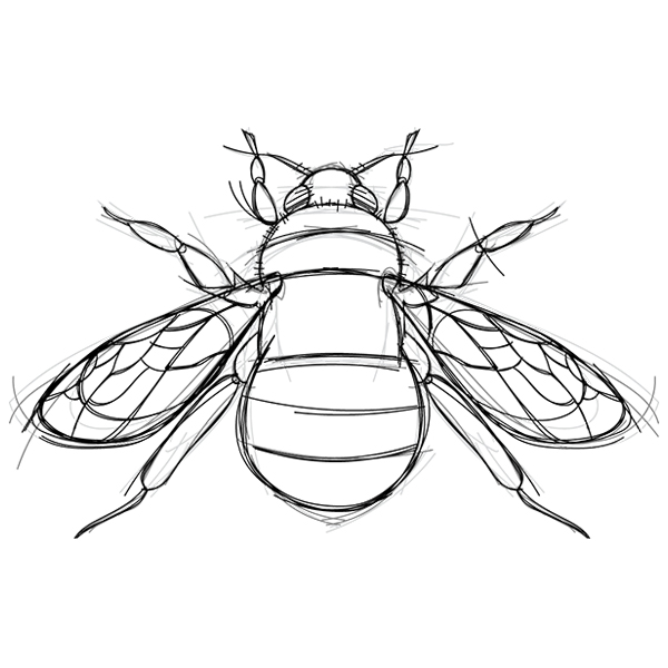 Sketchwork - Bee [SVG, DXF]