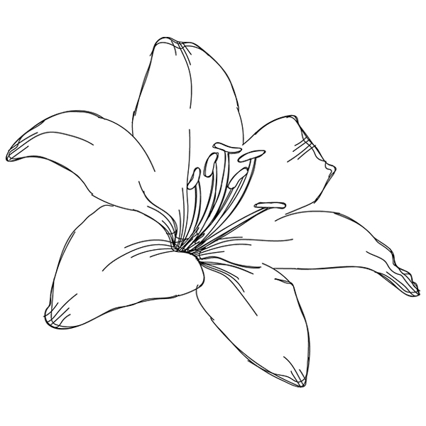 Delicate Petals [SVG, DXF]