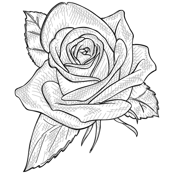 Sketched Rose [SVG, DXF]
