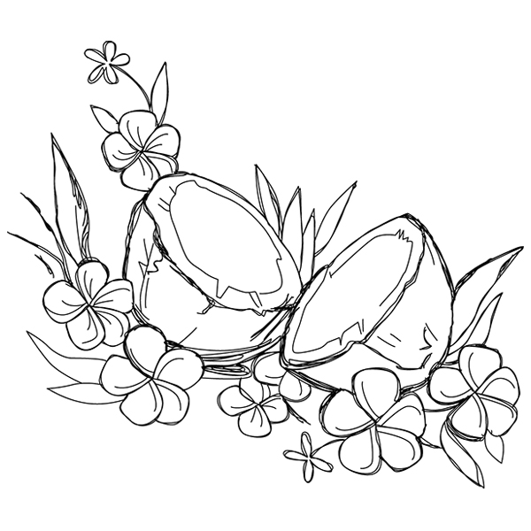 Summer Tastes - Coconut [SVG, DXF]