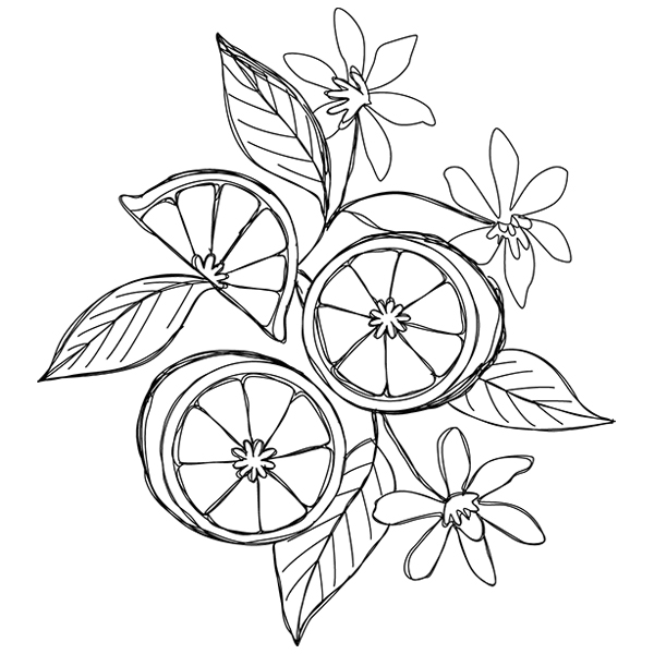 Summer Tastes - Limes [SVG, DXF]