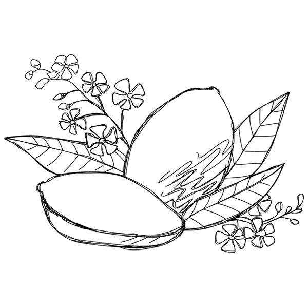 Summer Tastes - Mangos [SVG, DXF]