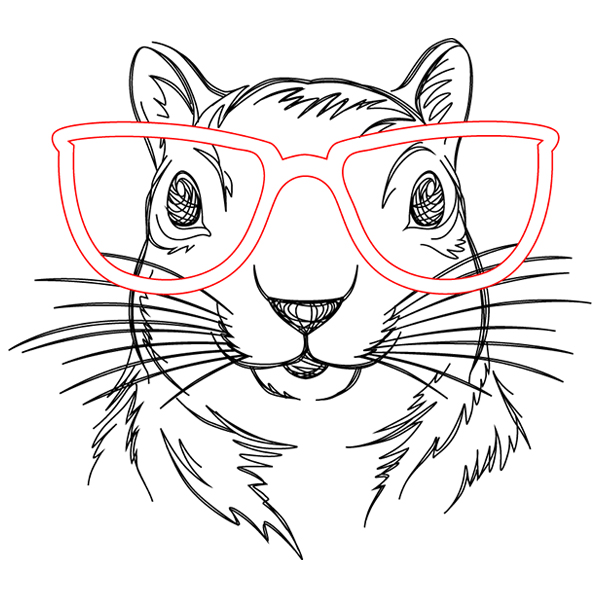Squirrel Specs [SVG, DXF]