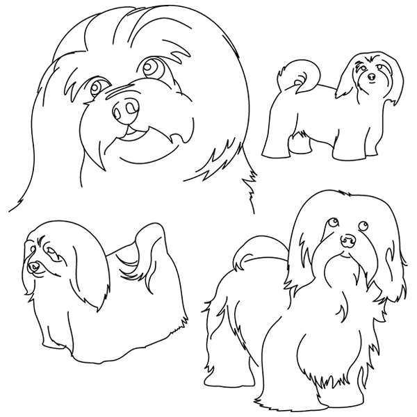 Havanese Sketch [SVG, DXF]