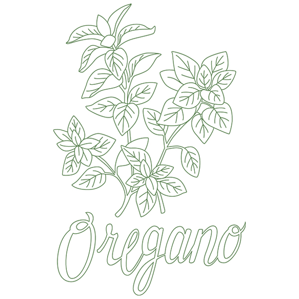 Herb Sketch - Oregano [SVG, DXF]