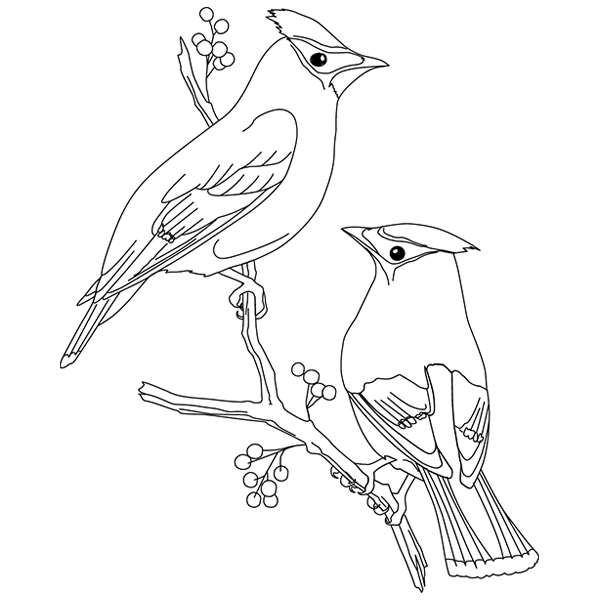 Cedar Waxwings [SVG, DXF]