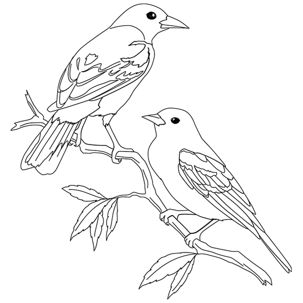Baltimore Orioles [SVG, DXF]