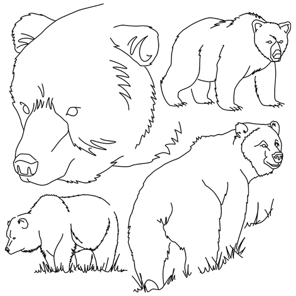 Bear Sketch [SVG, DXF]