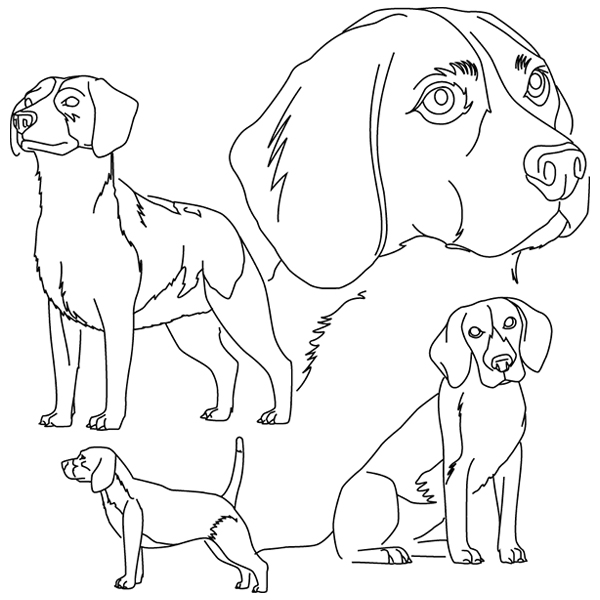 Beagle Sketch [SVG, DXF]