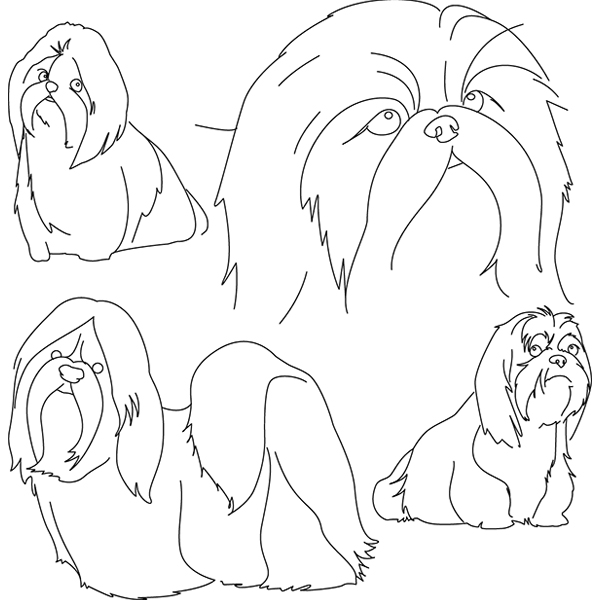 Shih Tzu Sketch [SVG, DXF]