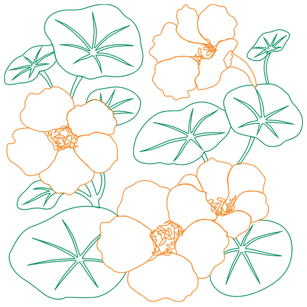 Nasturtium Sketch [SVG, DXF]