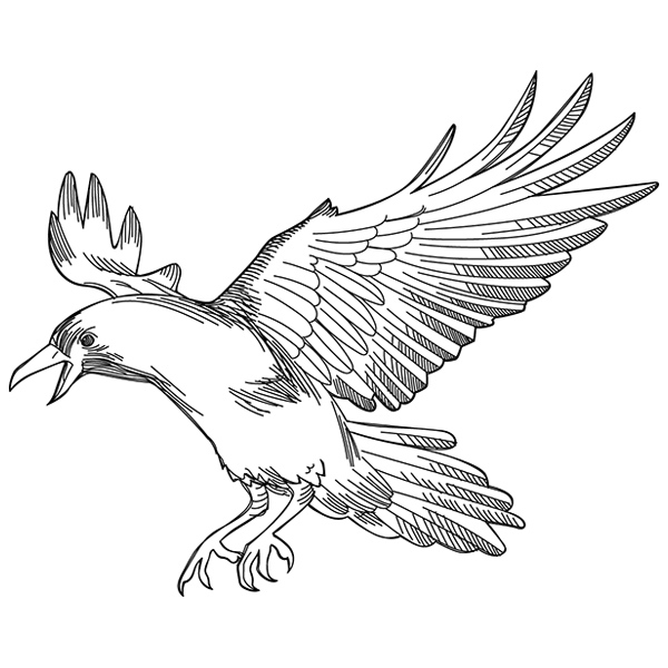 Fierce Crow [SVG, DXF]