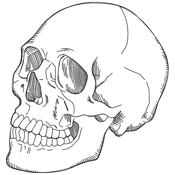 Fierce Skull [SVG, DXF]