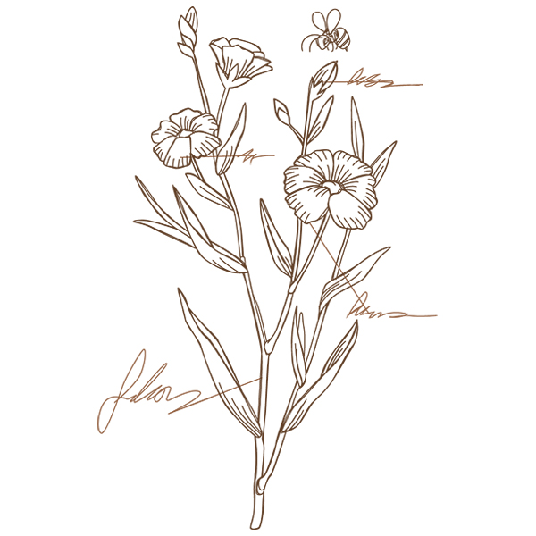 Alpine Flax Botanicals [SVG, DXF]