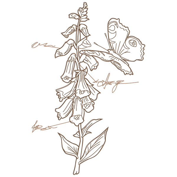 Foxglove Botanicals [SVG, DXF]