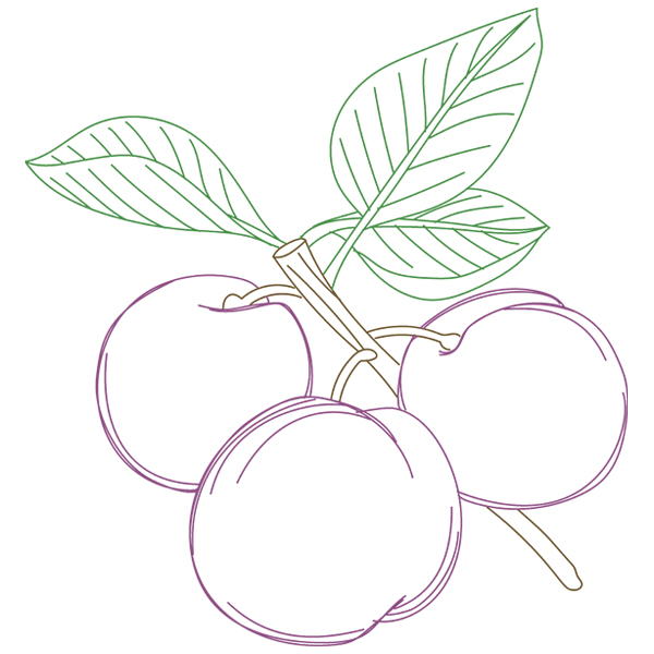 Plums [SVG, DXF]