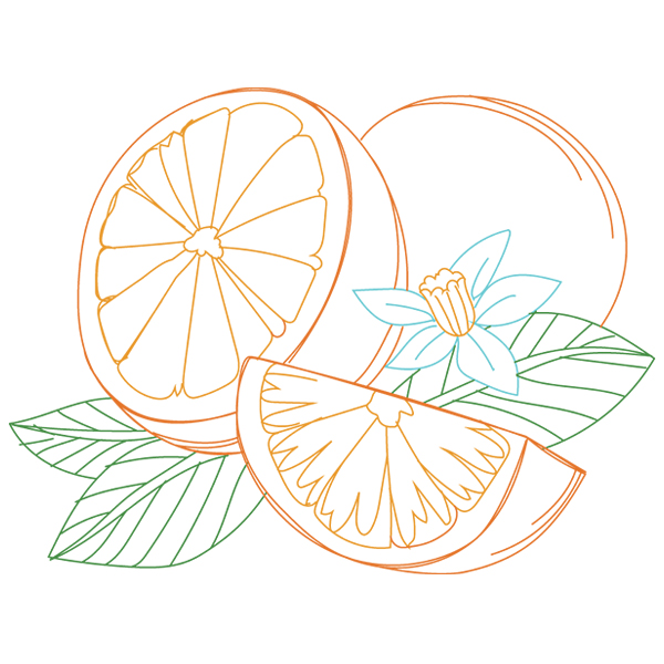 Oranges [SVG, DXF]