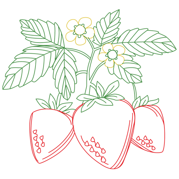 Strawberries [SVG, DXF]