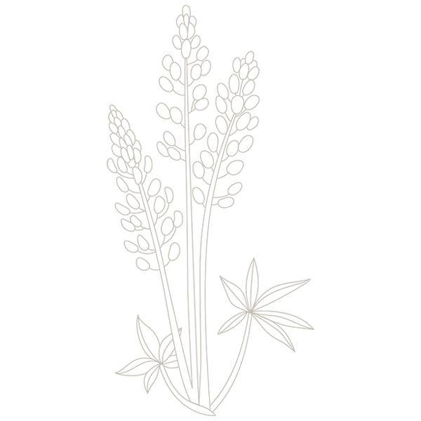 Mexican Sage [SVG, DXF]