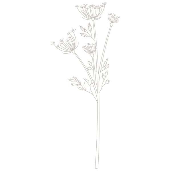 Queen Anne's Lace [SVG, DXF]