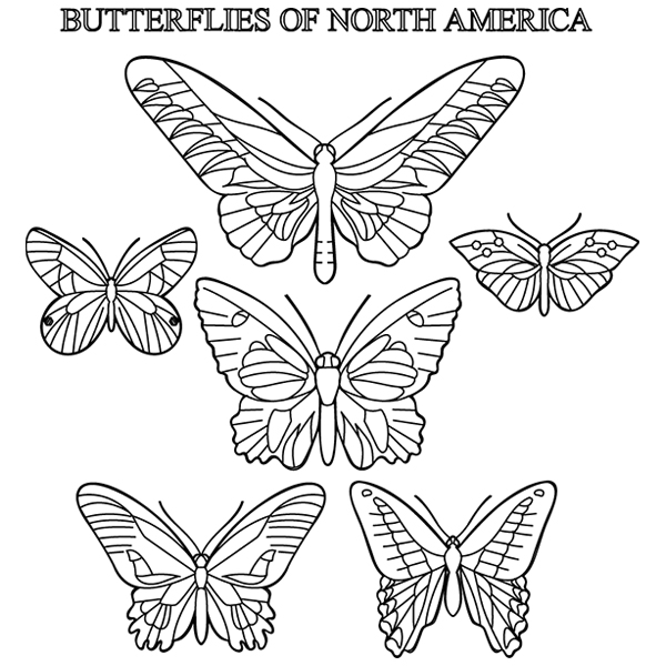 Butterflies of North America Schematic [SVG, DXF]