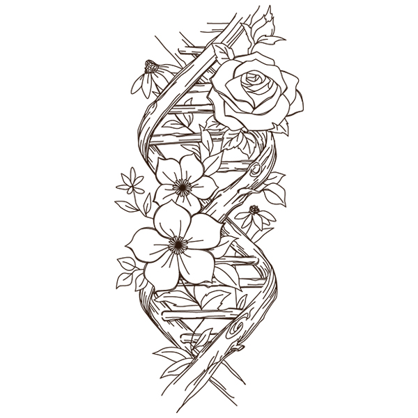 Helix Bouquet [SVG, DXF]