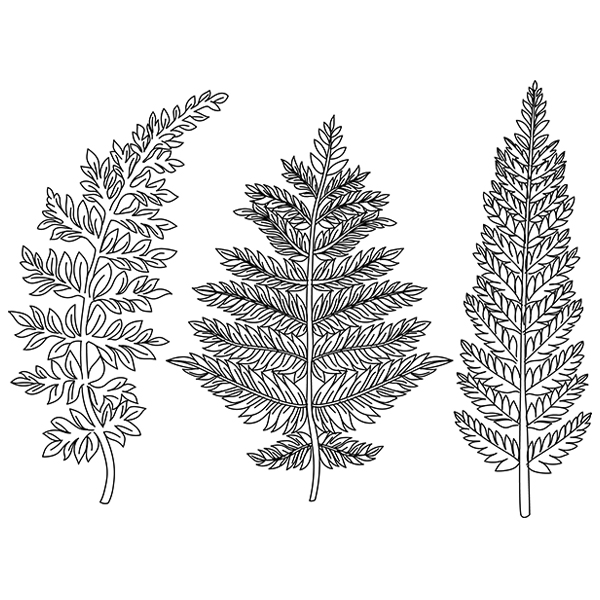 Botanical Ferns [SVG, DXF] 1