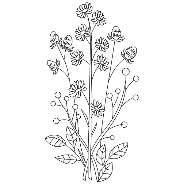 Delicate Daisy Stems [SVG, DXF]