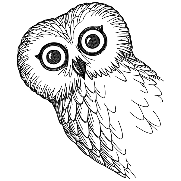 O Hai Owl [SVG, DXF]
