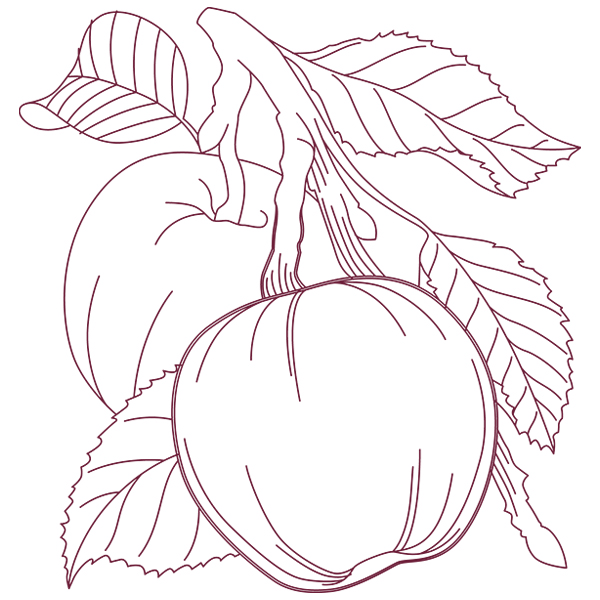 Autumn Apples [SVG, DXF]